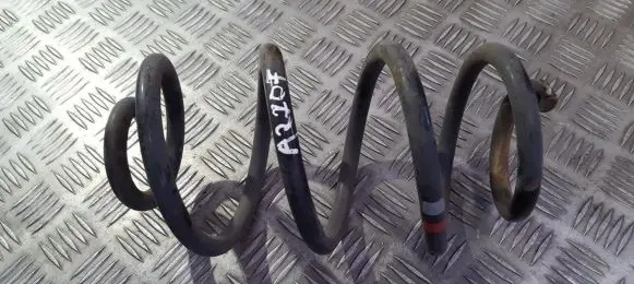 Renault Clio III Rear coil spring 