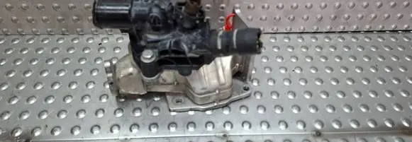 EGR valve