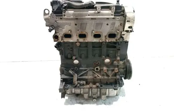 Volkswagen Golf VI Engine CAY