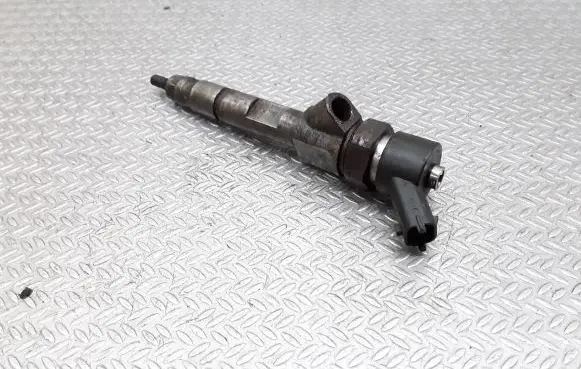 Renault Megane II Fuel injector 0445110110B
