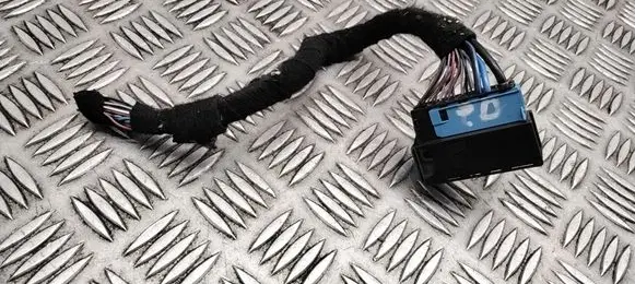 BMW X5 E70 Other wiring loom 9147287