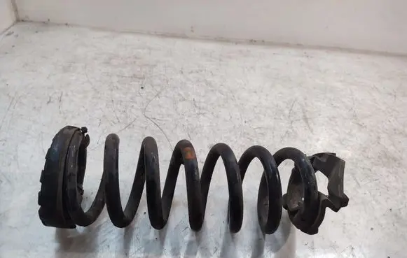 Land Rover Discovery Sport Rear coil spring