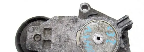 Citroen C3 Timing belt/chain tensioner 