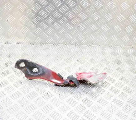 Tesla Model 3 Engine bonnet/hood hinges 109879200D