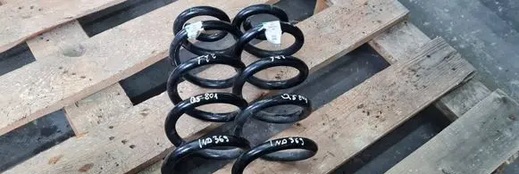 Rear coil spring