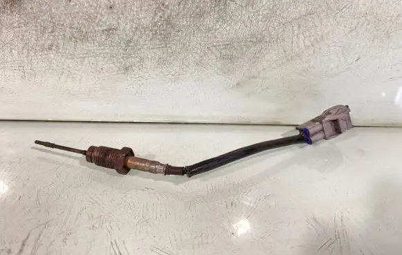 Toyota RAV 4 (XA30) Exhaust gas temperature sensor