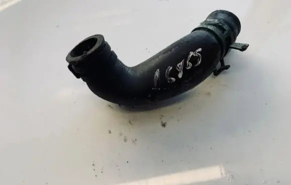 Volkswagen Sharan Engine coolant pipe/hose
