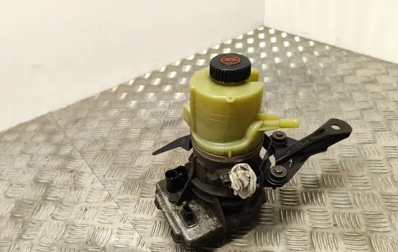 Fiat Talento Power steering pump 491100616R