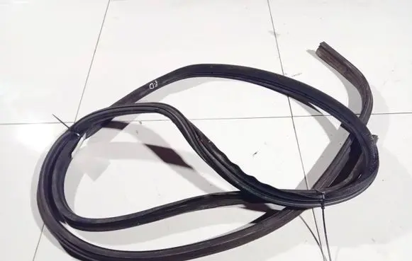 Opel Movano A Rubber seal front coupe door 