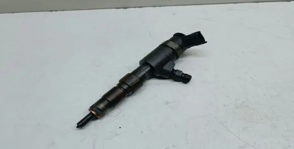 Peugeot 308 Fuel injector 0445110566 5550831472314