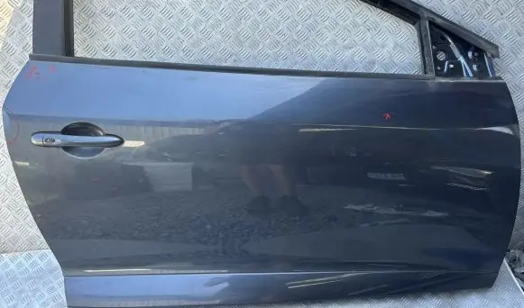 Renault Megane III Front door