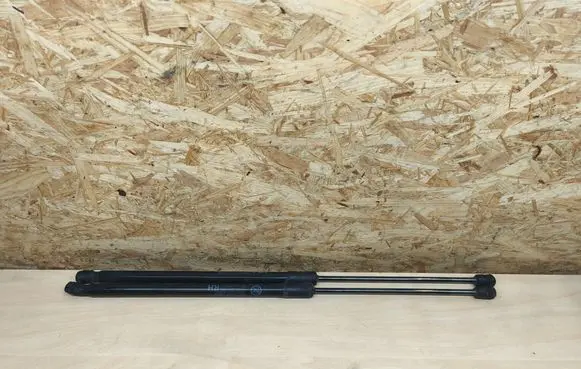 Tailgate/trunk strut/damper