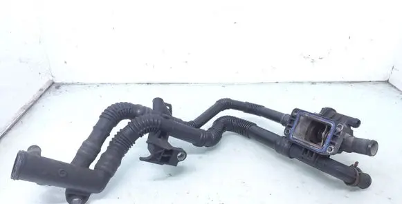 Thermostat/thermostat housing