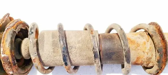 Rear coil spring