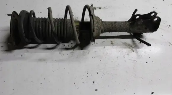 Peugeot 206 Front shock absorber with coil spring 5202LY