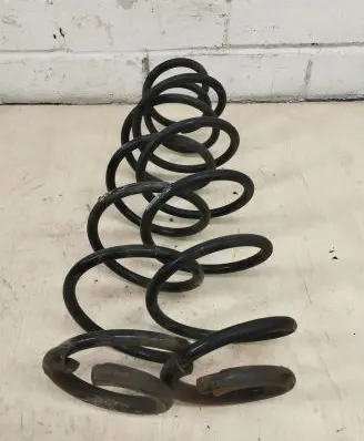 Renault Laguna III Rear coil spring 2021000685 535976L9