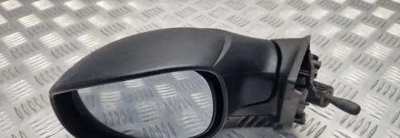 Citroen C3 Manual wing mirror E2011019