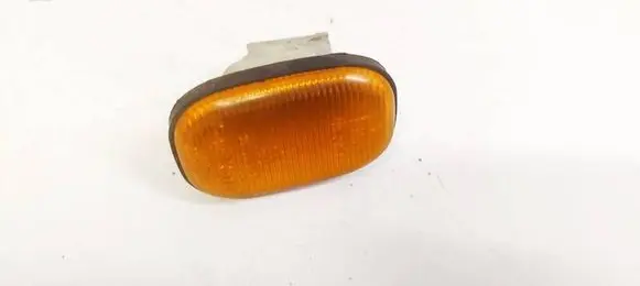 Front fender indicator light