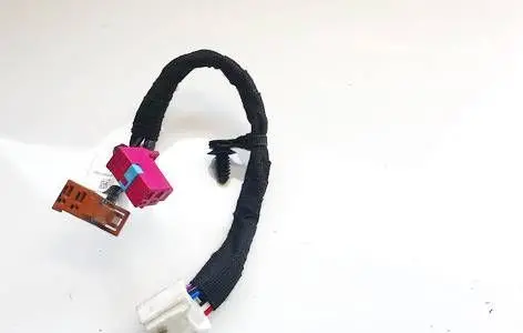 Tesla Model Y Other wiring loom zg2019947000