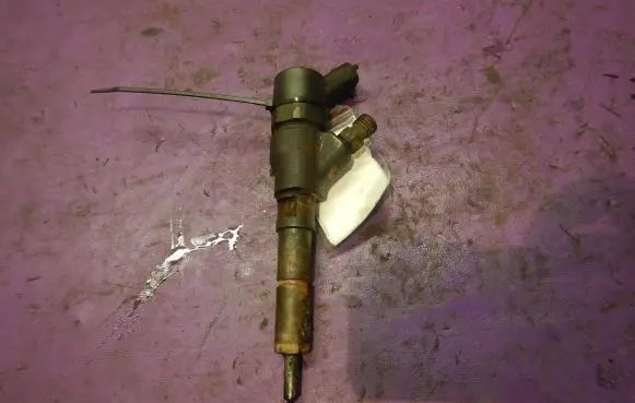 Peugeot 406 Fuel injector 9637526080