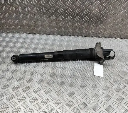 Porsche Cayenne (9Y0 9Y3) Rear shock absorber/damper 9Y0513031C