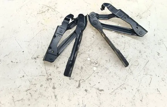 Volkswagen Eos Engine bonnet/hood hinges 1Q0823301C 1Q0823302C