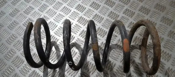 Rear coil spring