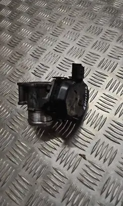 Throttle body valve