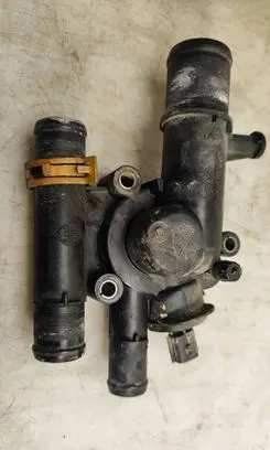 Thermostat/thermostat housing