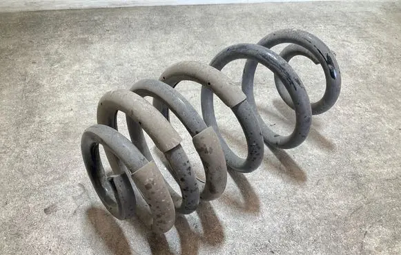 Rear coil spring