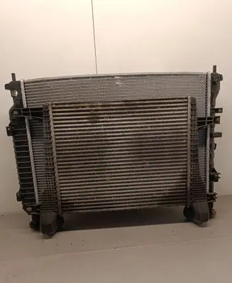 Opel Antara Radiator set F00S3D2021 622983 JB1B