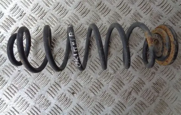 Rear coil spring
