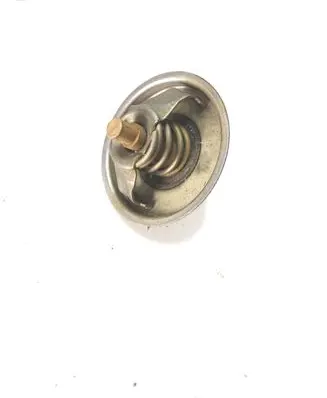 Volkswagen PASSAT B7 USA Thermostat 07K121113B