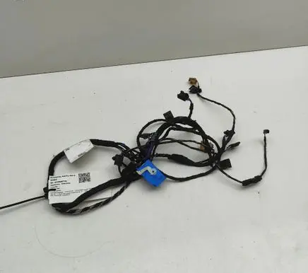 Porsche Cayenne (9Y0 9Y3) Front door wiring loom 9Y0971121AN