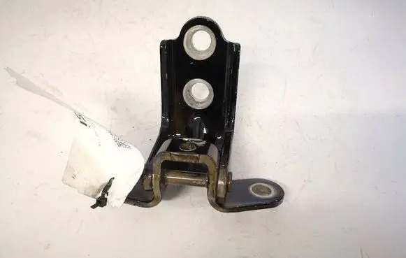 Hyundai Ioniq Rear door lower hinge 