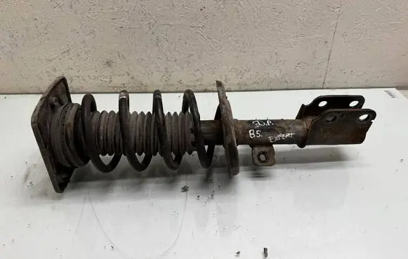 Front shock absorber with coil spring