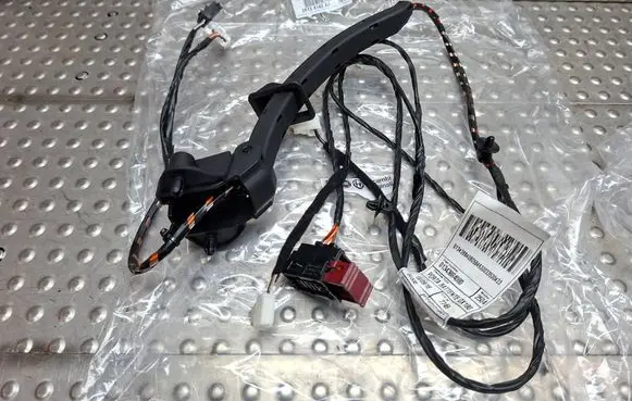 Rear door wiring loom
