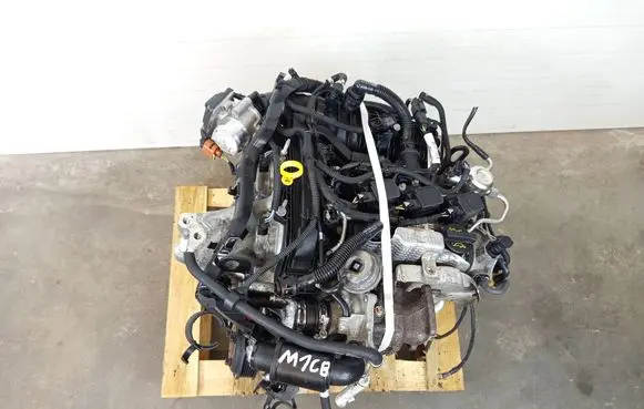 Ford Ecosport Engine M1CB