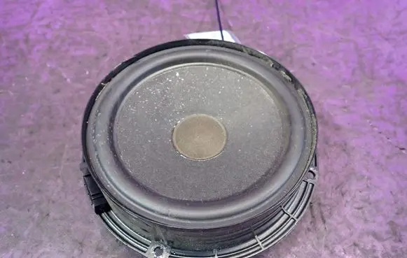 Volkswagen Golf IV Front door speaker 