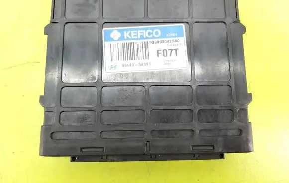 Hyundai Santa Fe Gearbox control unit/module 954403A391