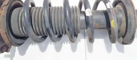Subaru Legacy Rear coil spring