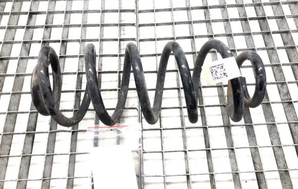 Rear coil spring