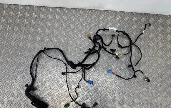 Skoda Enyaq iV Front door wiring loom 5LB971120AQ