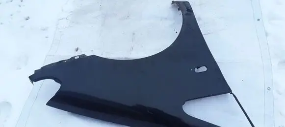 Fender