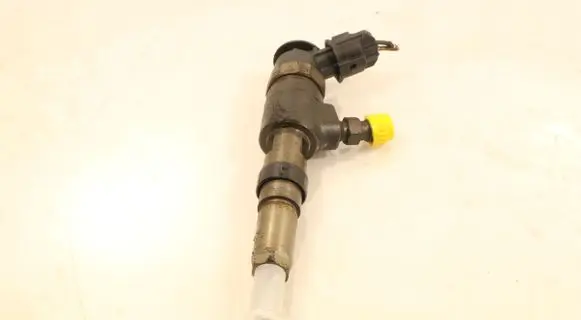 Citroen C3 Fuel injector 0445110252
