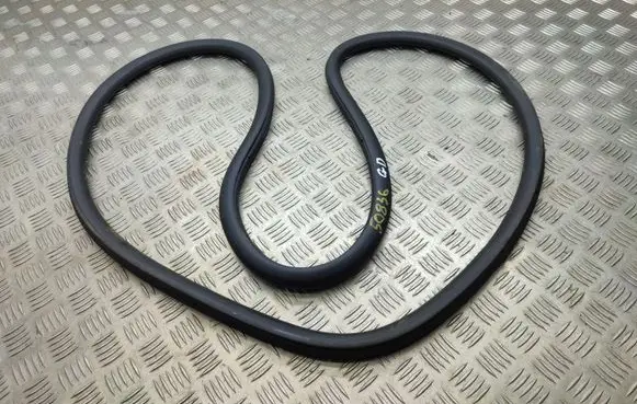 Peugeot 2008 II Rear door rubber seal (on body) 
