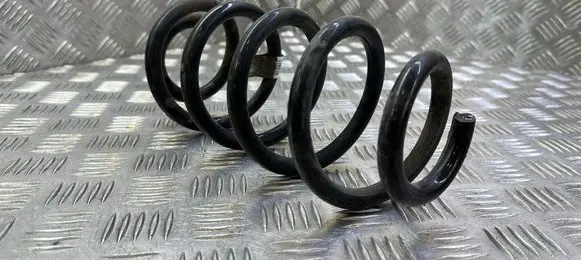 Rear coil spring
