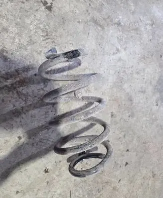 Rear coil spring