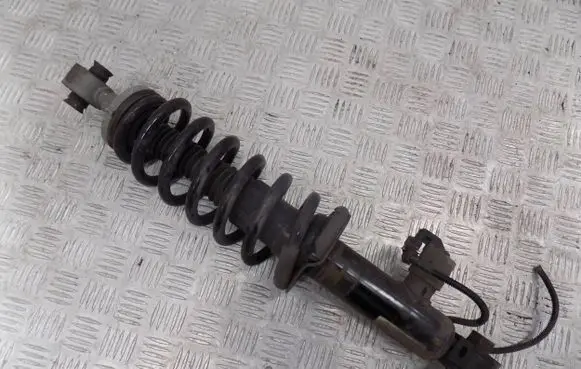 Citroen DS7 Crossback Rear shock absorber with coil spring