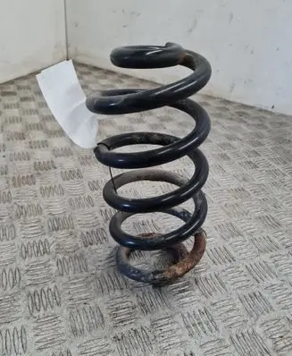 Rear coil spring